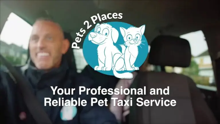 Play pets to places video thumbnail