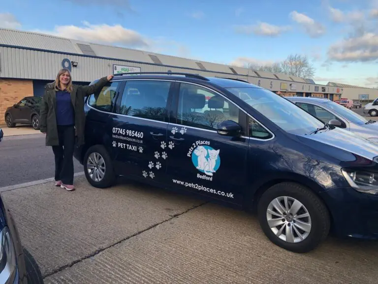Pets 2 Places franchise owner with branded pet taxi vehicle in Bedford UK