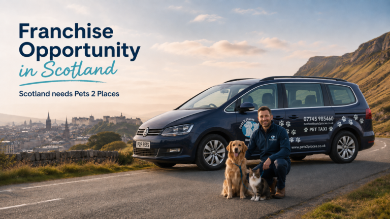 Pets 2 Places branded pet taxi in Scotland with a dog, cat and driver, promoting a pet transport franchise opportunity