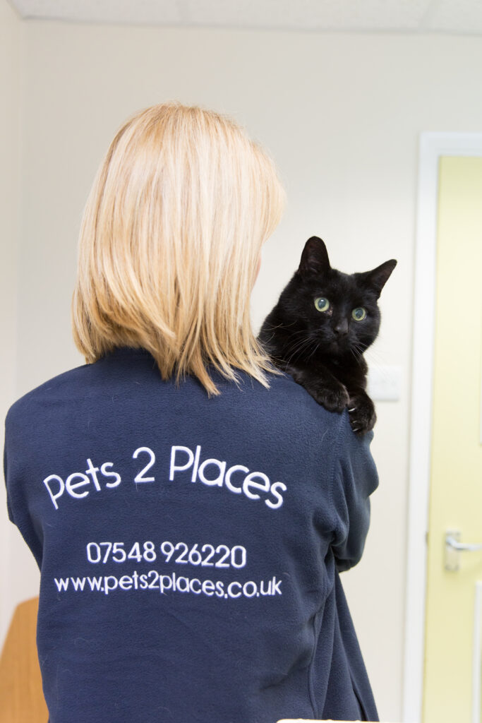 Pet taxi driver cuddling a black cat at the vets