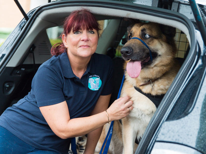 Pets to places driver with dog
