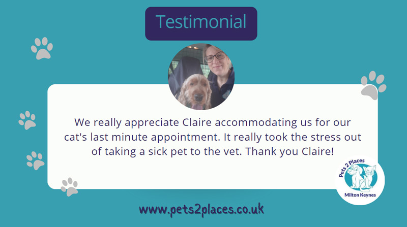 Testimonial for Claire at Pets 2 Places